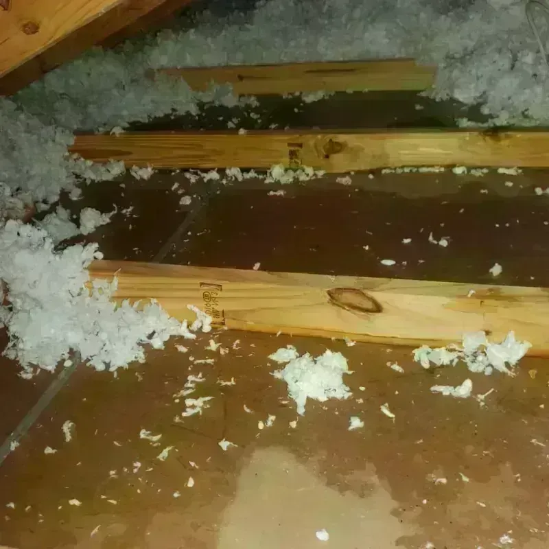 Attic Water Damage in Craig County, OK