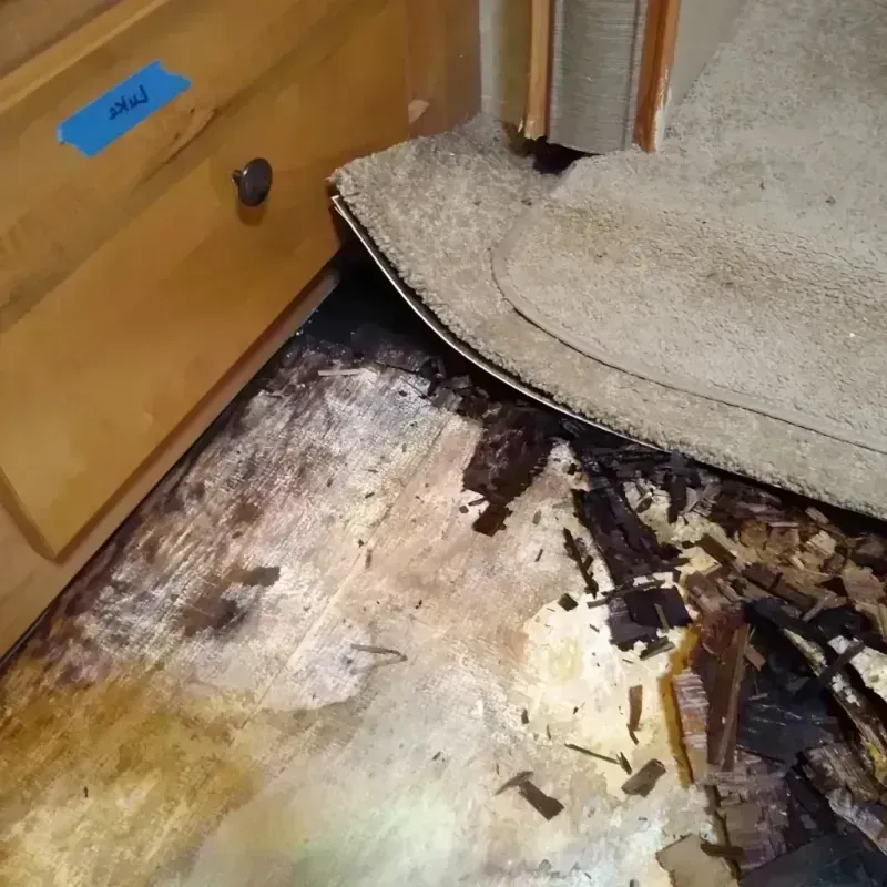 Wood Floor Water Damage in Craig County, OK